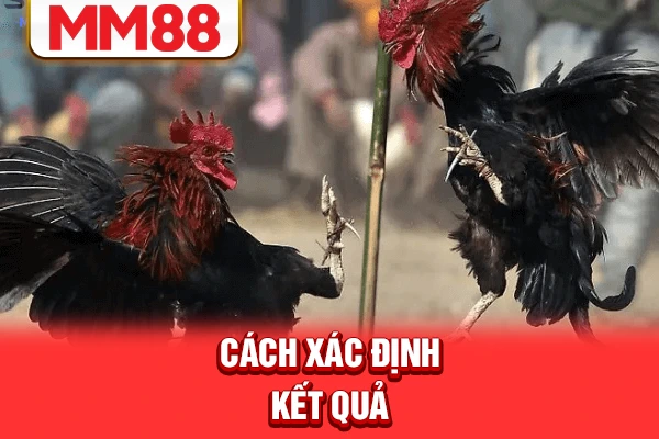 Cách xác định kết quả
