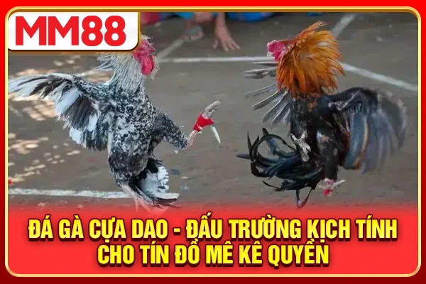 Đá Gà Cựa Dao - Đấu Trường Kịch Tính Cho Tín Đồ Mê Kê 2026