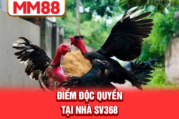 Điểm độc quyền tại nhà SV368