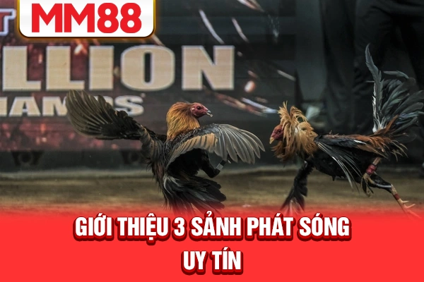 Giới thiệu 3 sảnh phát sóng uy tín