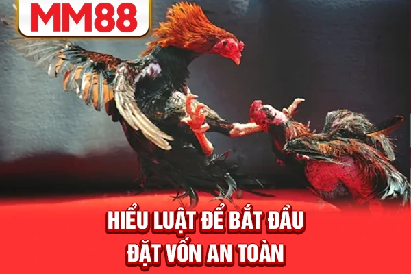 Hiểu luật để bắt đầu đặt vốn an toàn