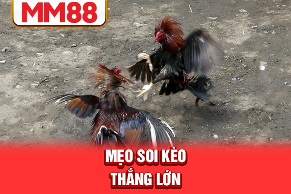 Mẹo soi kèo thắng lớn