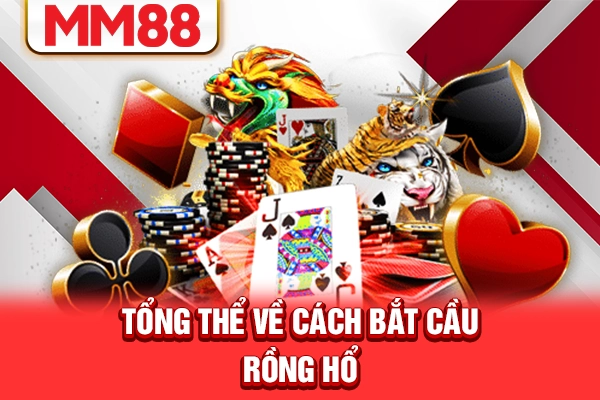 Tổng thể về cách bắt cầu Rồng Hổ