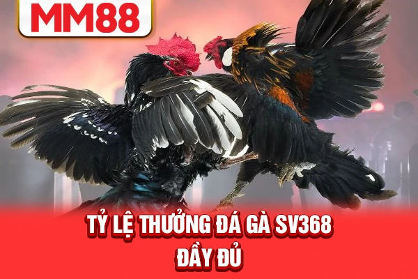 Tỷ lệ thưởng đá gà SV368 đầy đủ